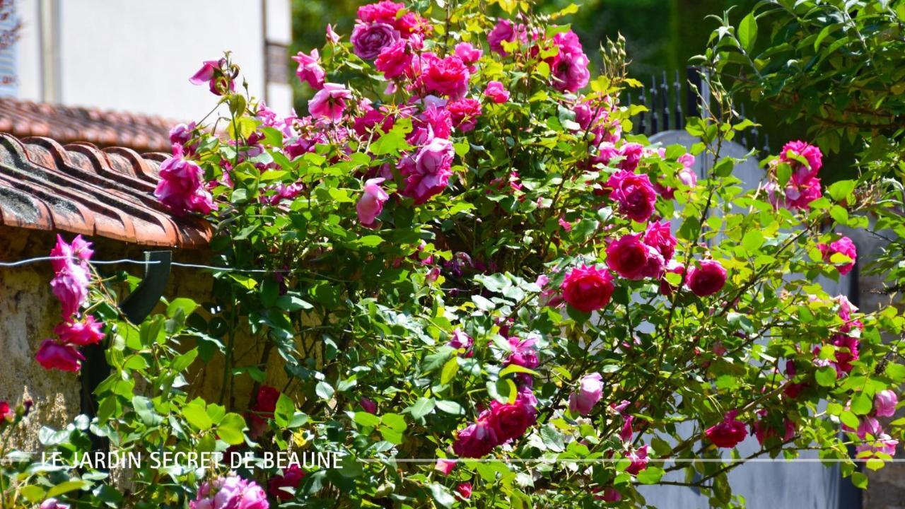 Le Jardin Secret De Beaune Beaune  Eksteriør billede